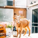 Turning Page Farm Brewery