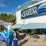 The Florida Aquarium