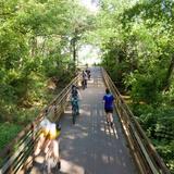 Swamp Rabbit trail