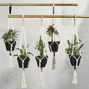 Yerbamala Designs Plant Hangers - Colorblock