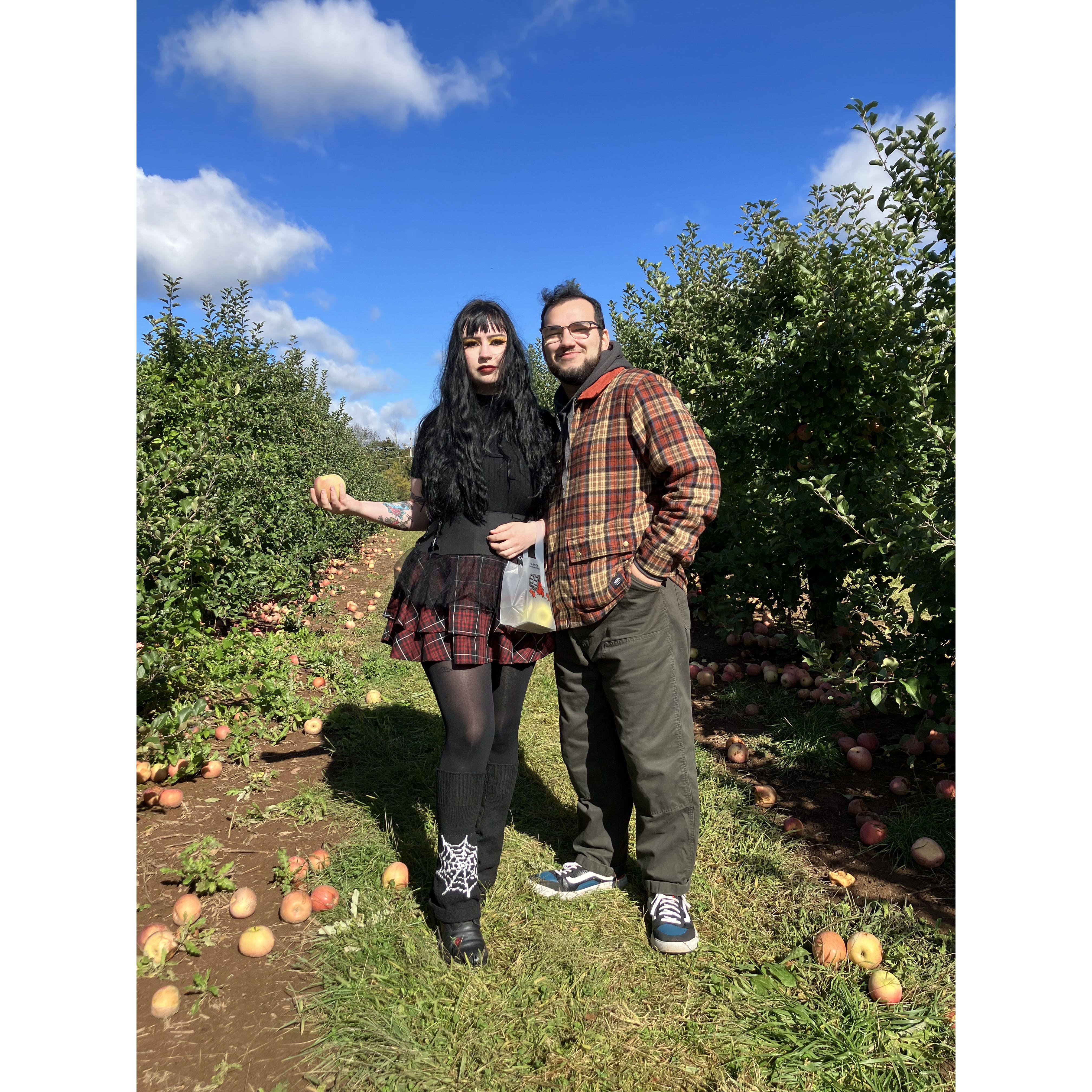 A day at the apple orchard (October 15th, 2023)