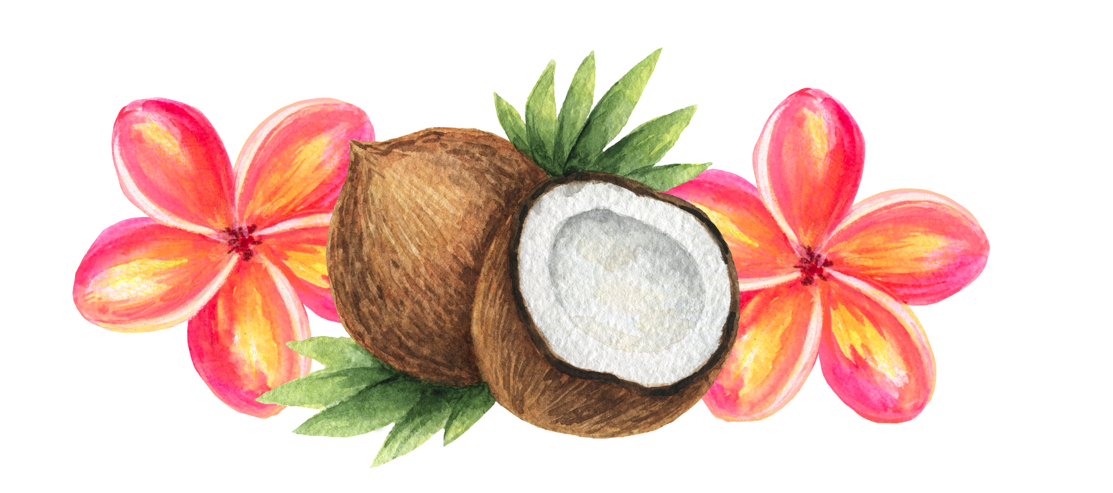 The Wedding Website of Shenaye Campbell and Ratu Vuibau