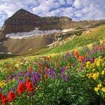 Mount Timpanogos via Timpooneke Trail