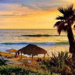 Windansea Beach