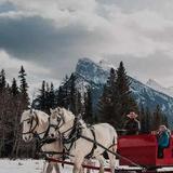 Discover Banff Tours