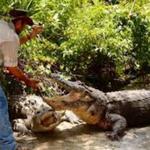 Gatorland