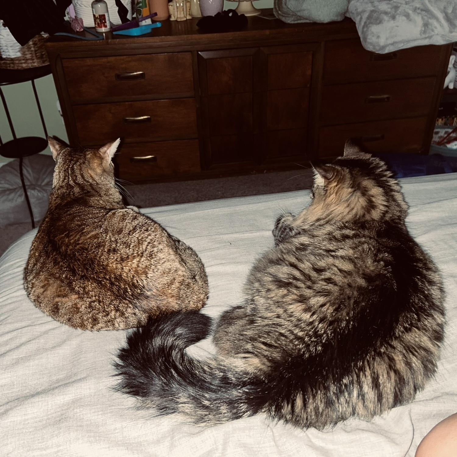 our girls!
