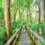Lekki Conservation Center