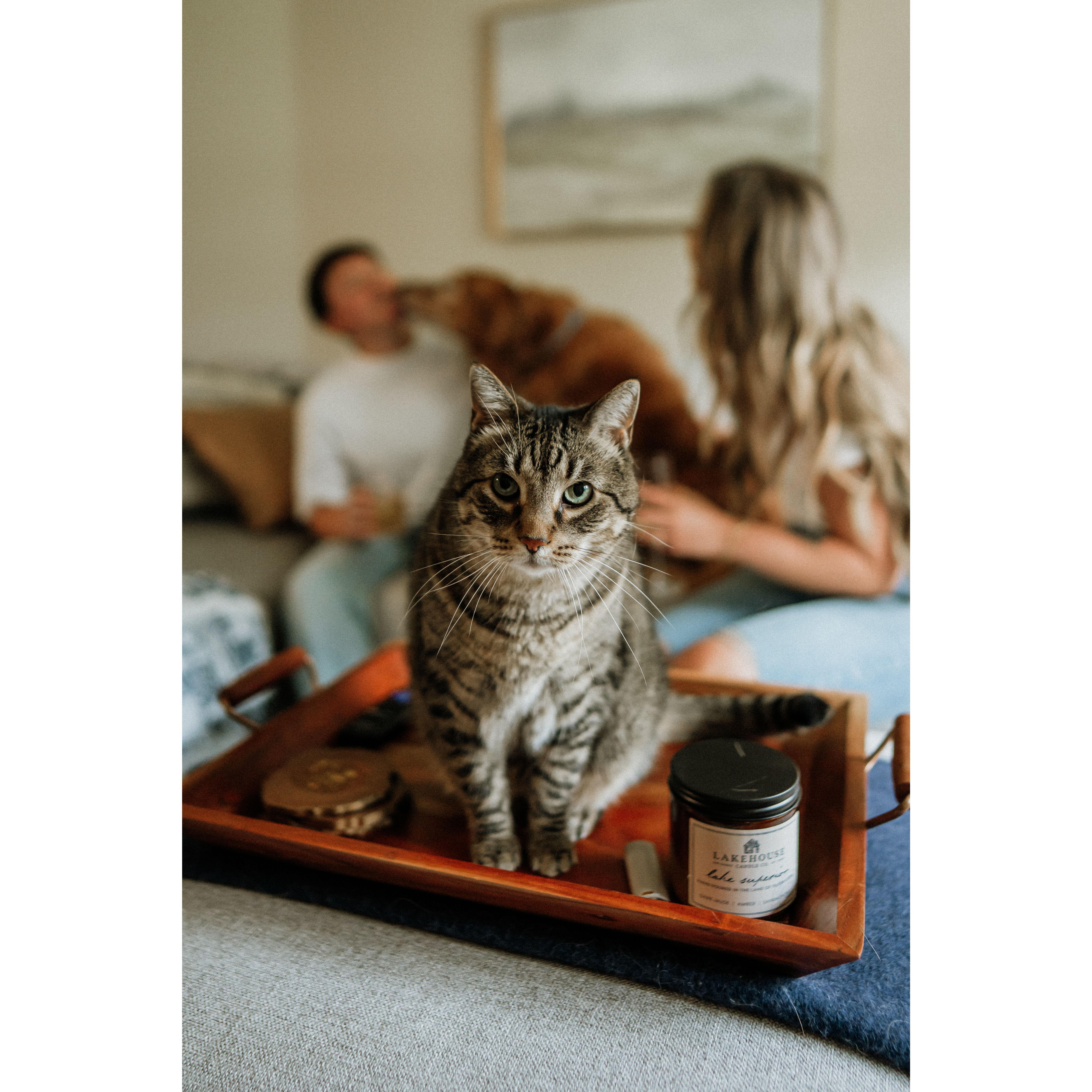 Our other favorite boy, Mac!