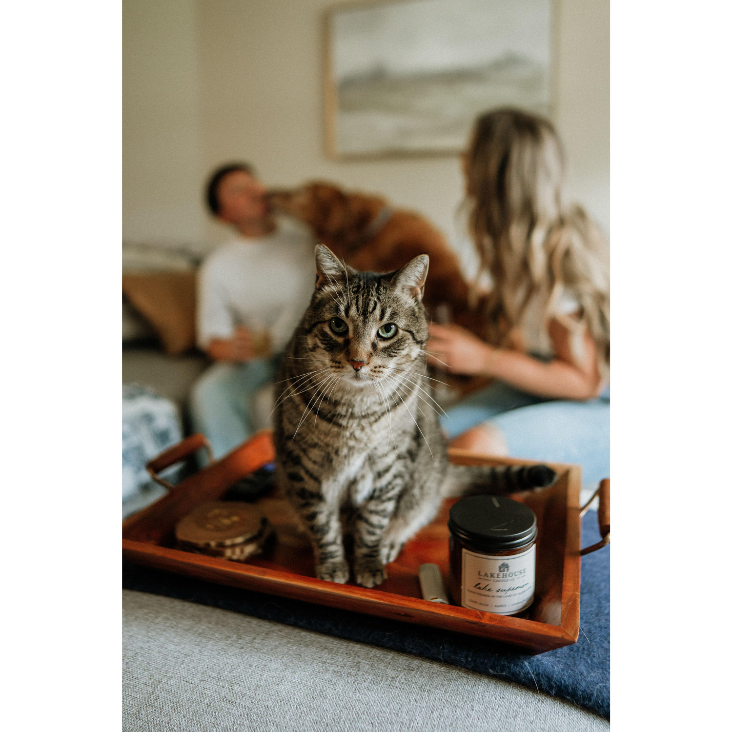 Our other favorite boy, Mac!