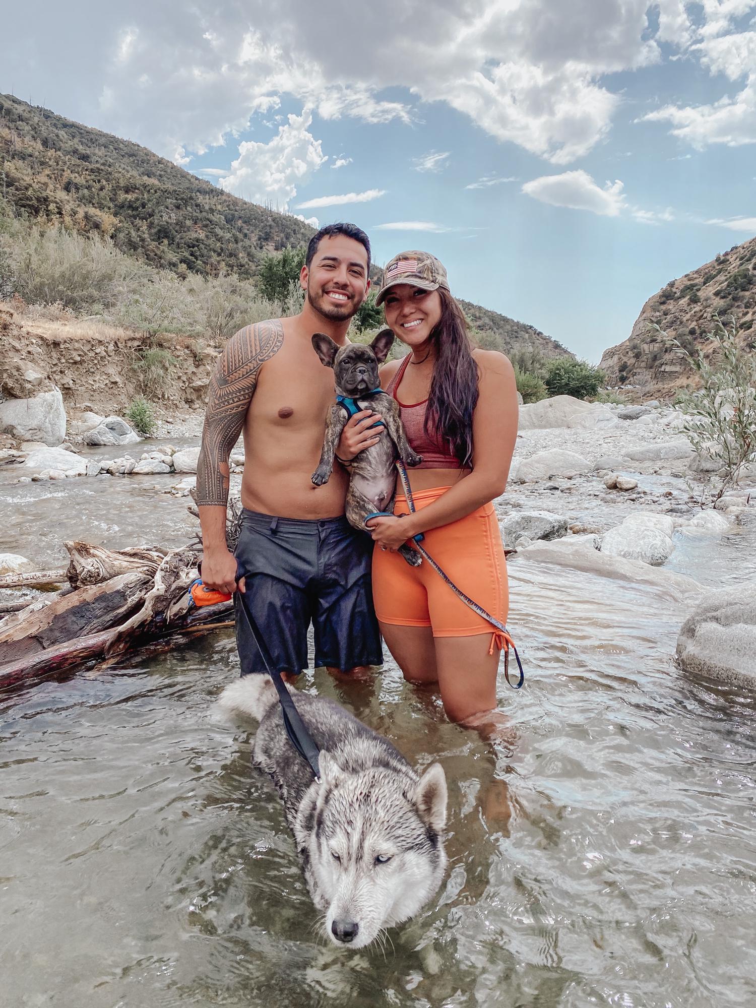 Our fur babies loved going camping with us!