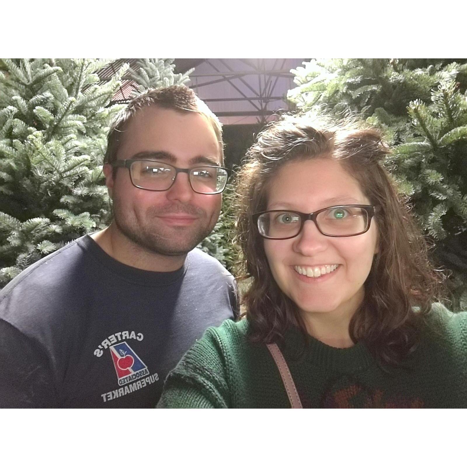 Christmas Tree shopping 2017