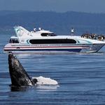 Puget Sound Express