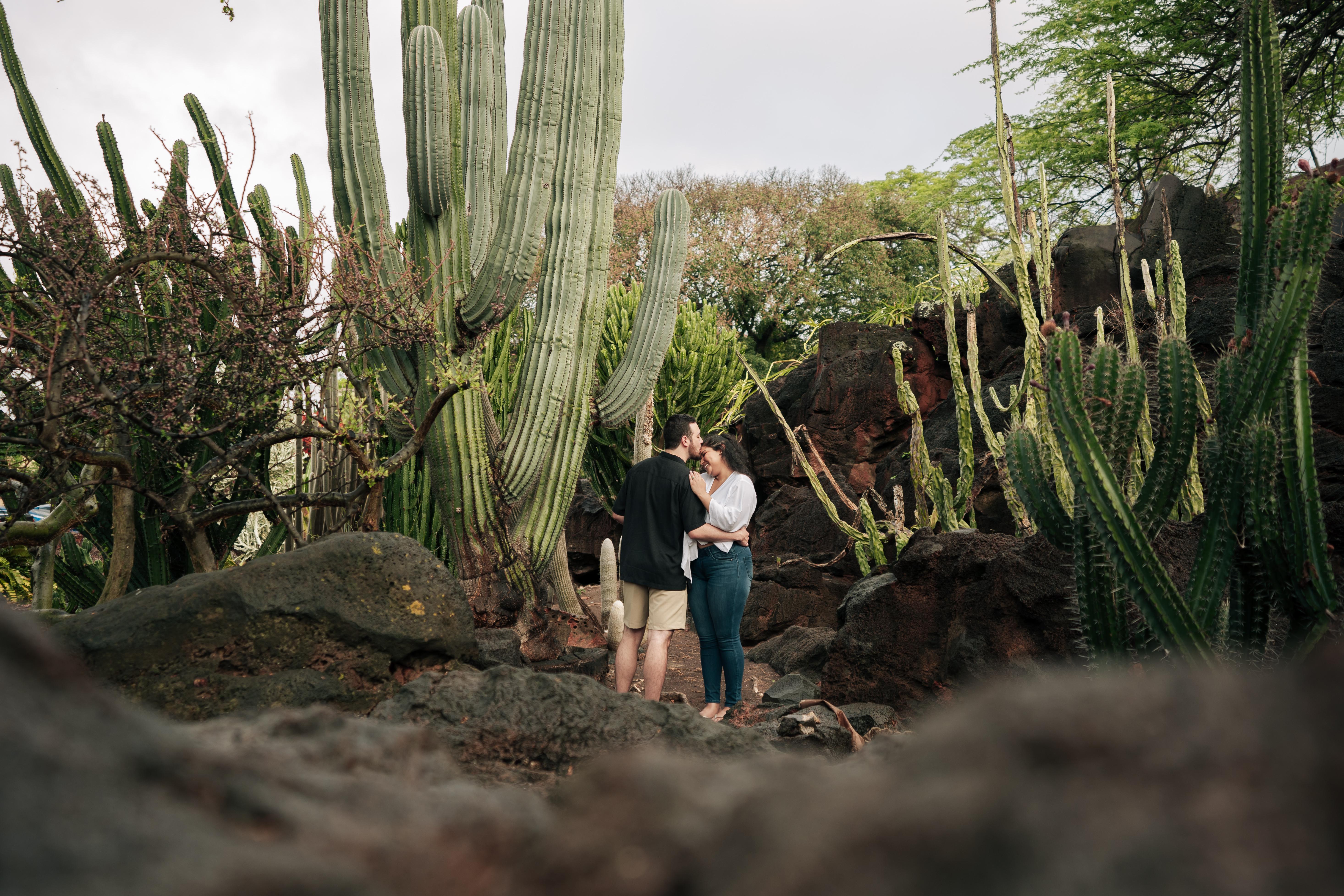 The Wedding Website of Sarah Stewart and Nickolas Lobo