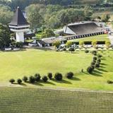 Mitchelton Wines