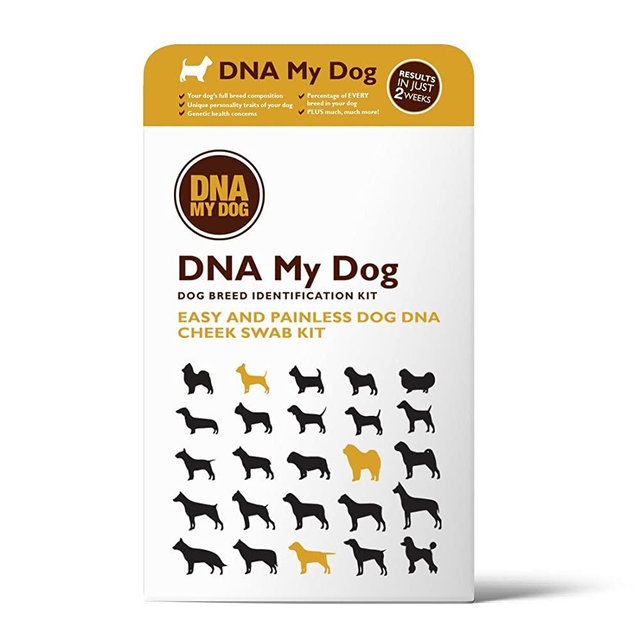 Dna My Dog - Canine Breed Identification Test Kit - at-Home Cheek Swab Kit - Personality Traits