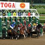 Saratoga Springs