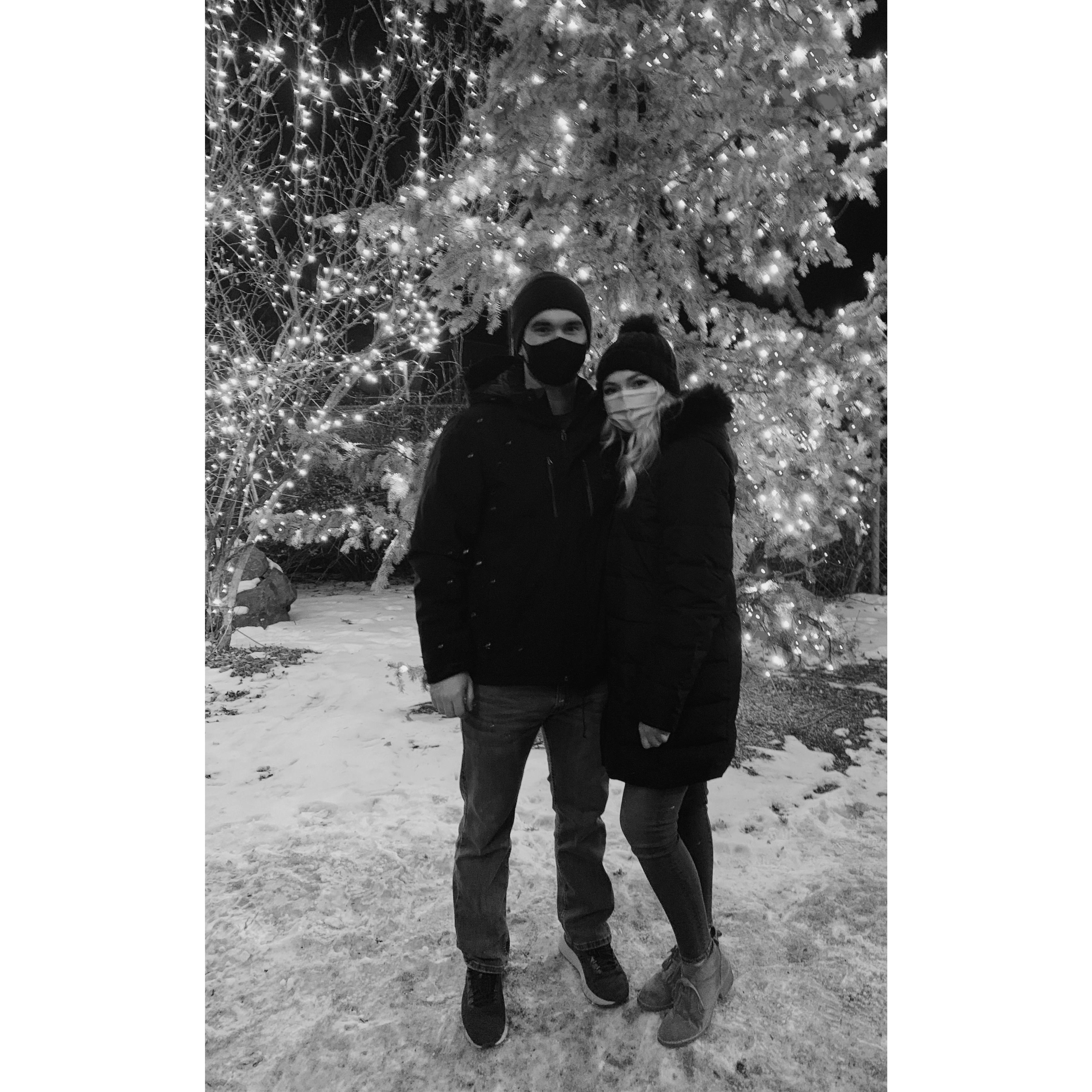 Our first zoo lights