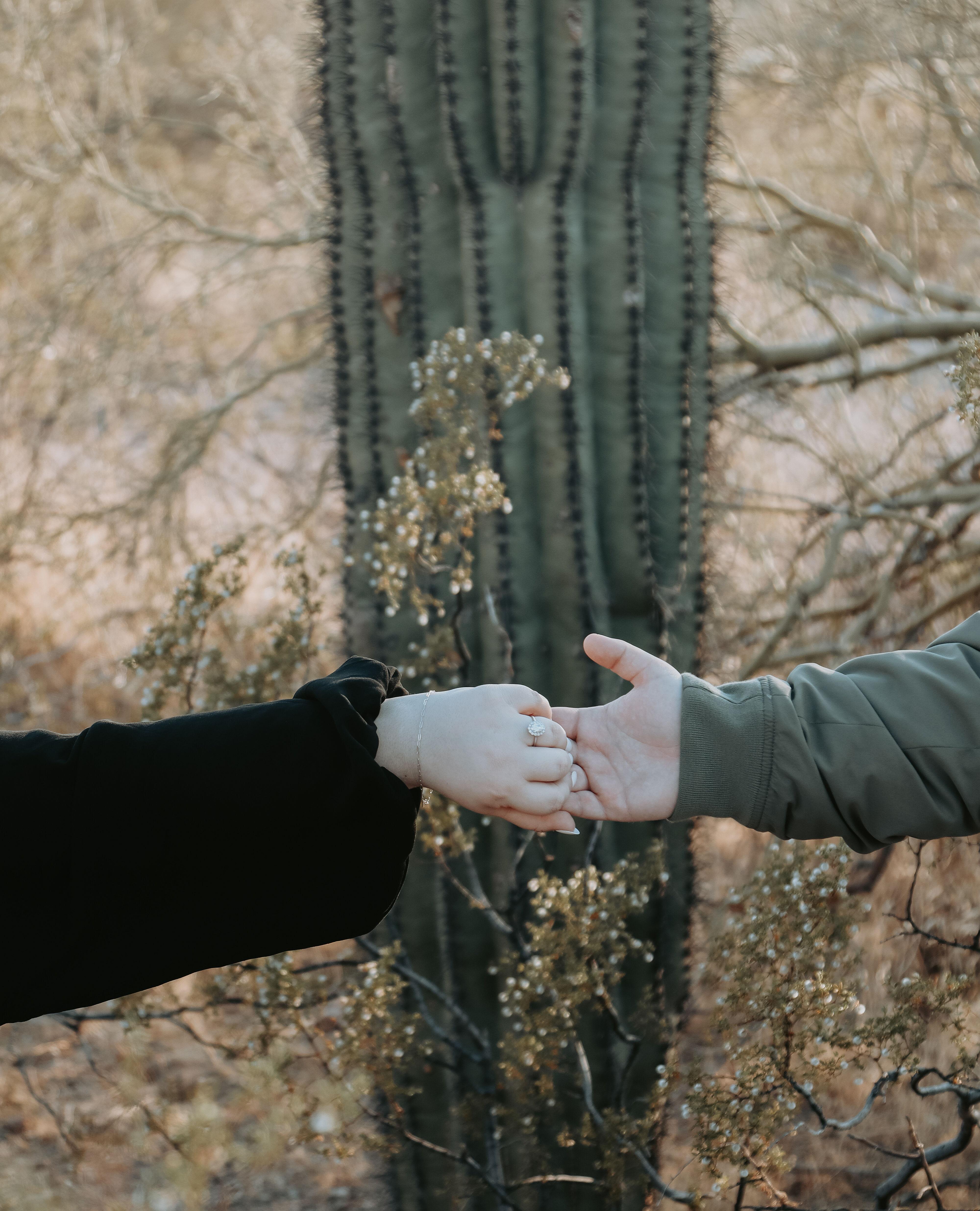 The Wedding Website of Kasey Renée German and Maxwell Charles Trask