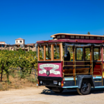 Temecula Valley Cable Car Wine Tours