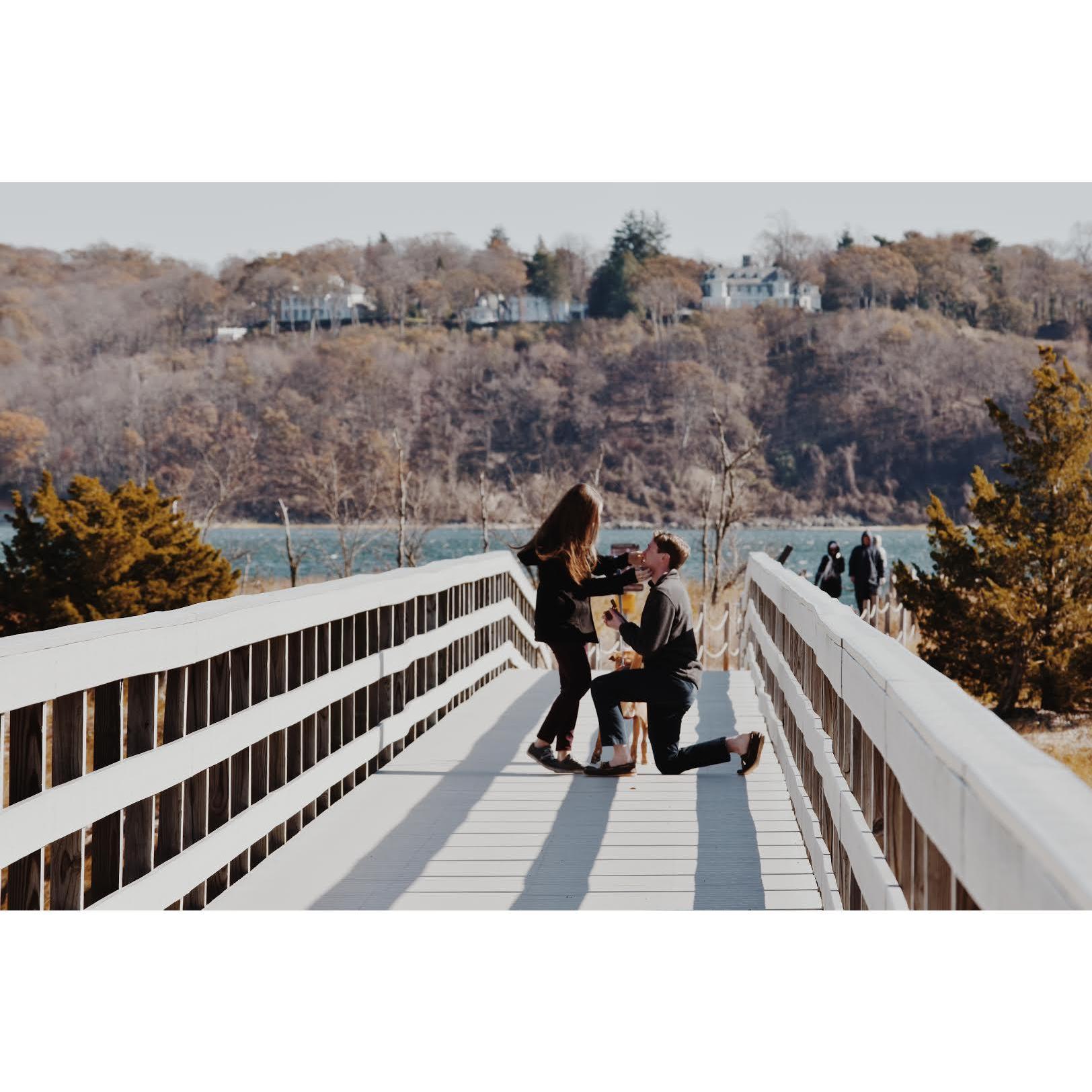 Our Engagement, Sagamore Hill, November 16, 2019