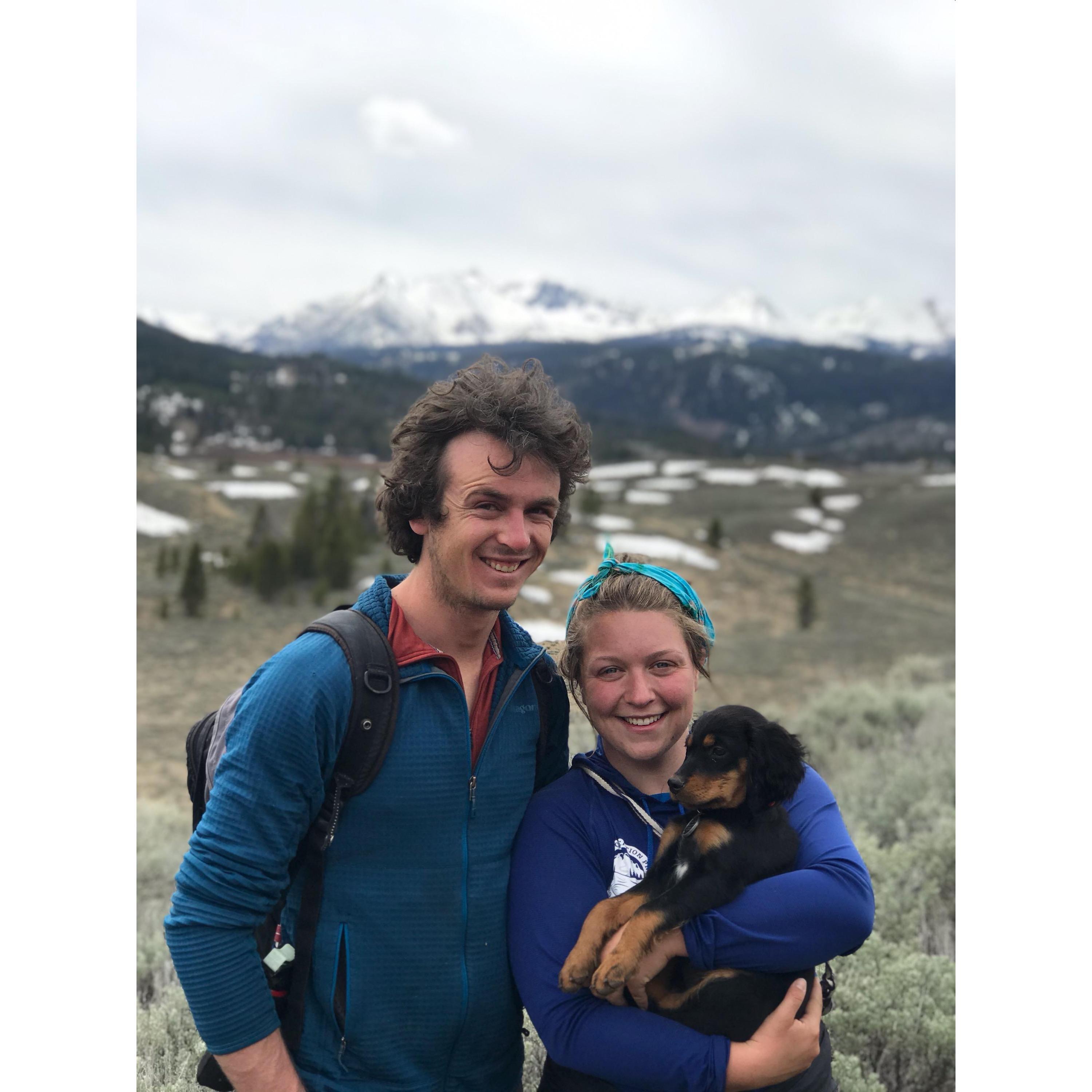 Wild Iris - our first pup!