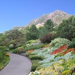 Red Butte Garden