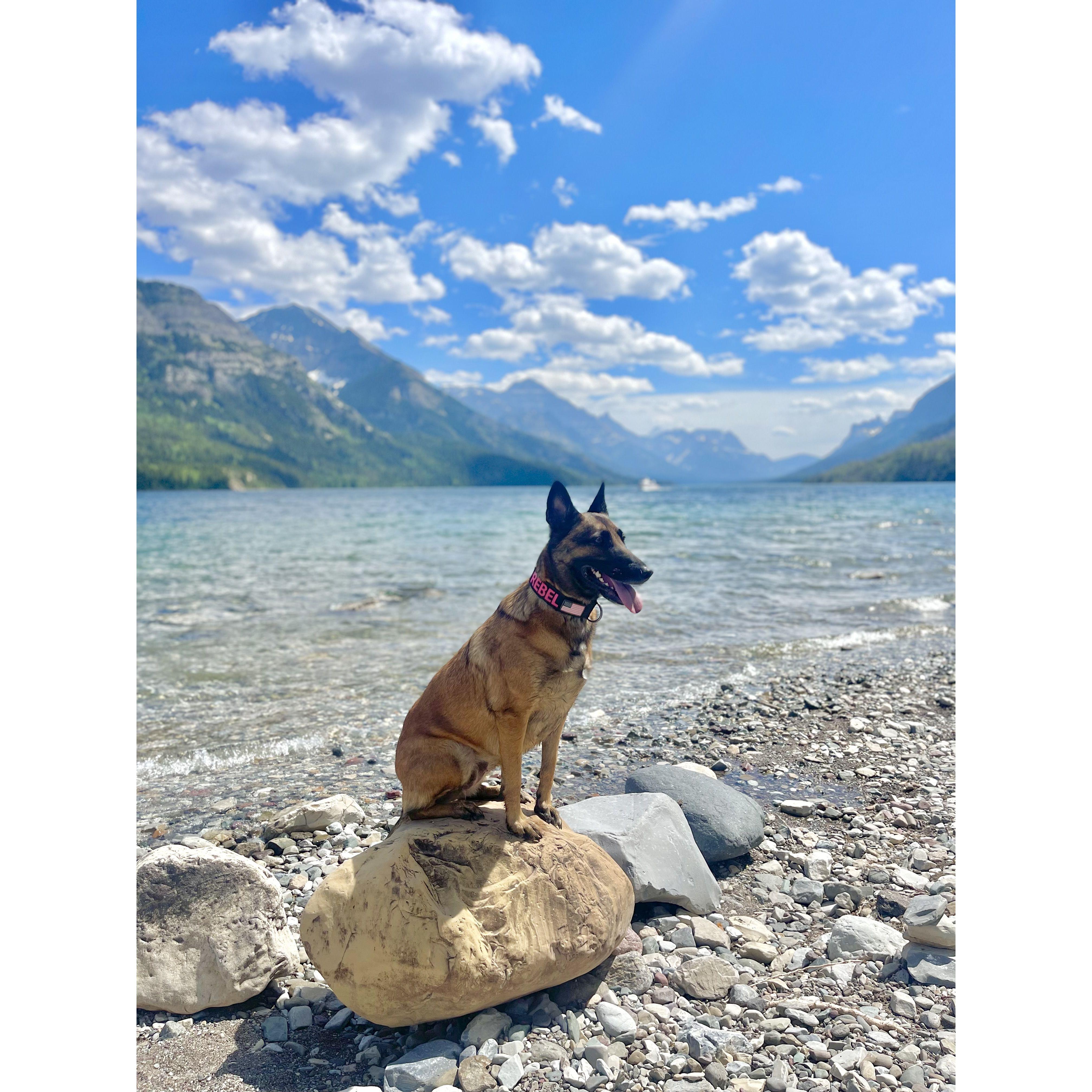 Summer Roadtrip 2024 | Waterton National Park, Canada