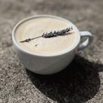 True North Coffee House