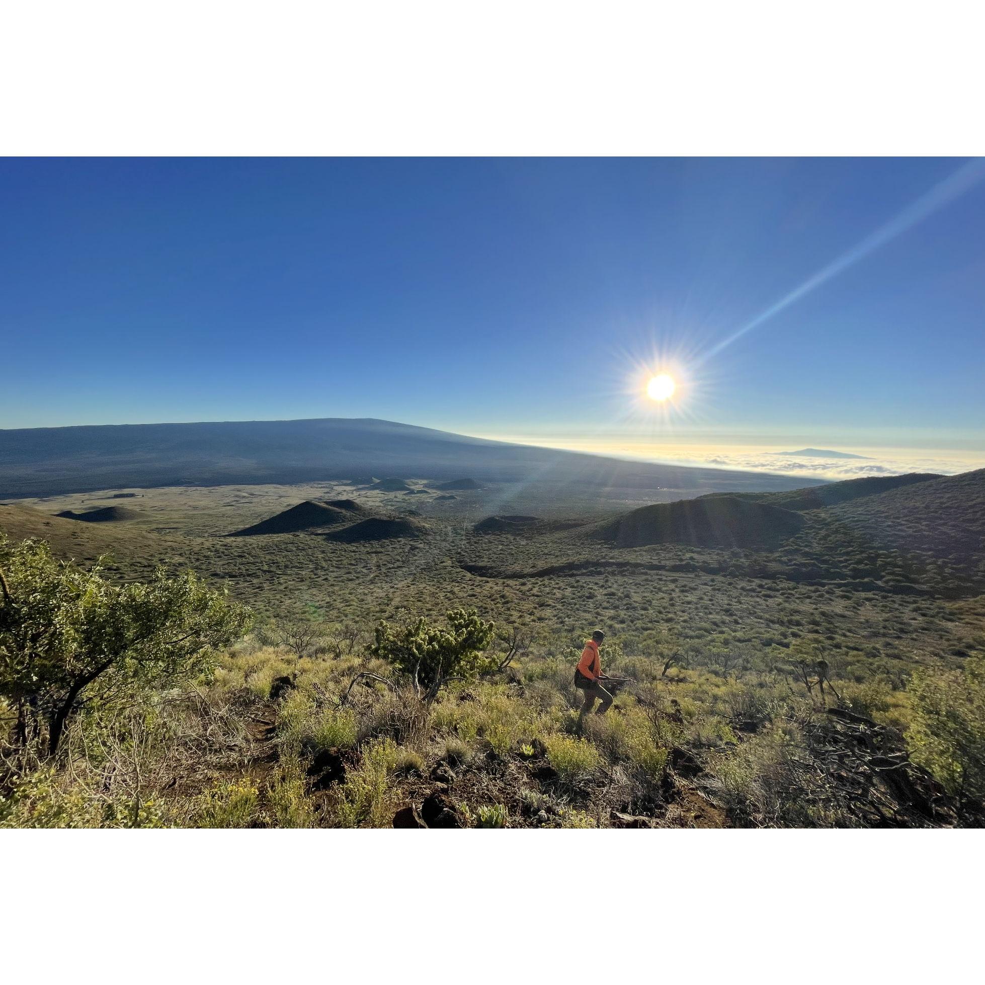 Pat & Chlo enjoy bird hunting on Mauna Kea on Big Island!