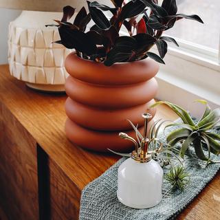 Plant Mister