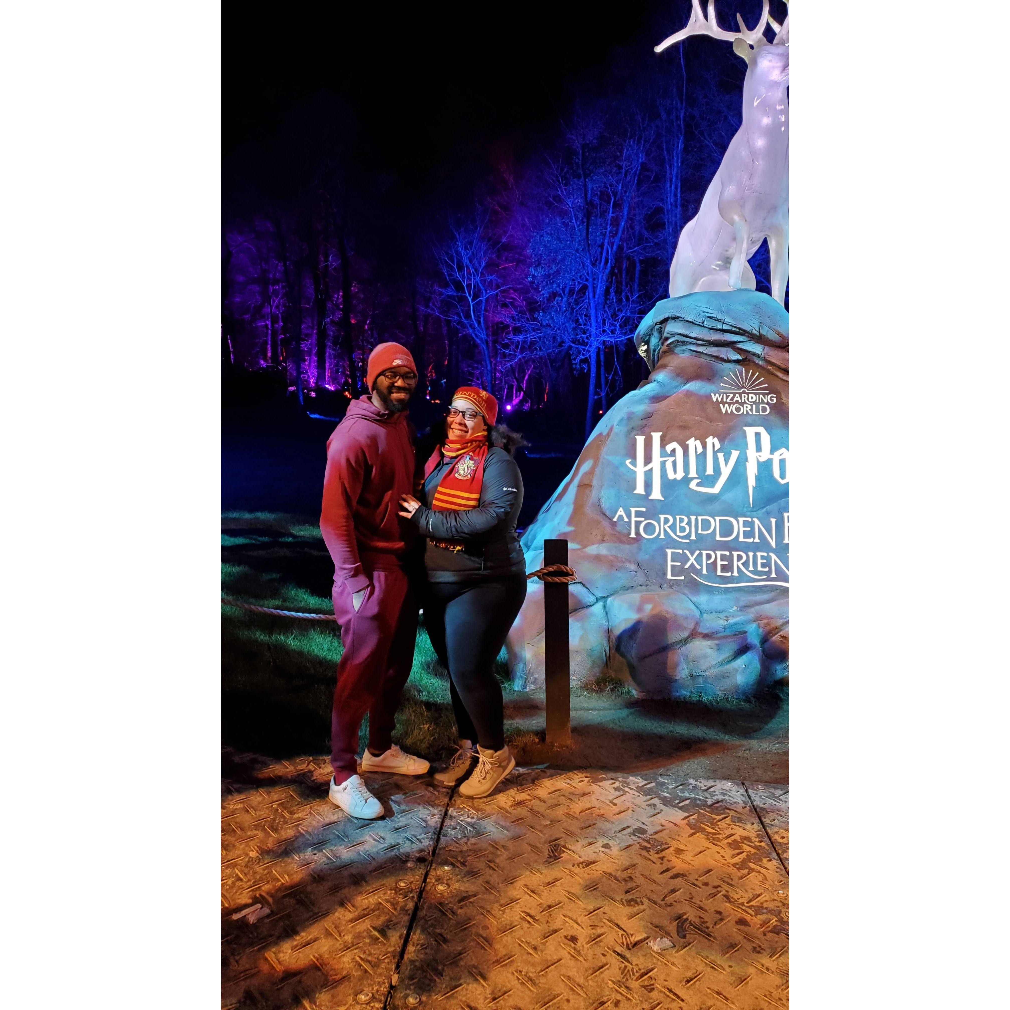 Harry Potter Experience