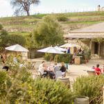 Sunstone Winery