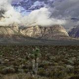Red Rock Canyon National Conservation Area