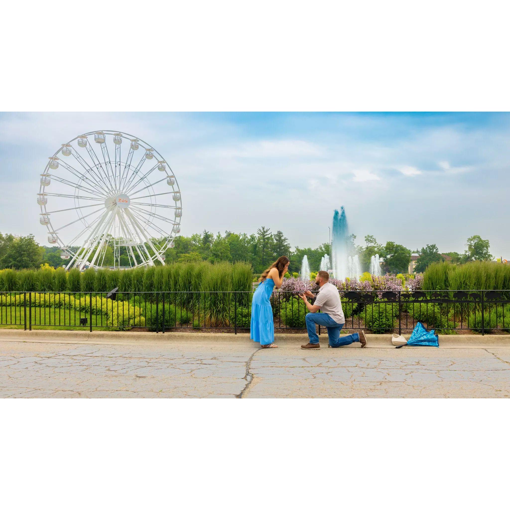 We got engaged at Brookfield Zoo, fastest yes on record!