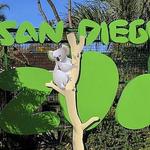 San Diego Zoo