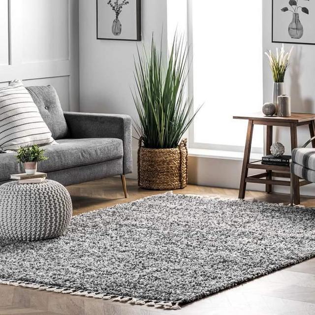 Brooke Contemporary Soft Shag Tassel Area Rug