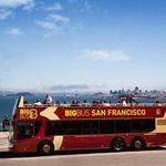 Double Decker Bus Tour