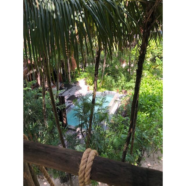 View from room Nômade Tulum