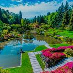 Seattle Japanese Garden