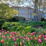 Cheekwood Botanical Gardens
