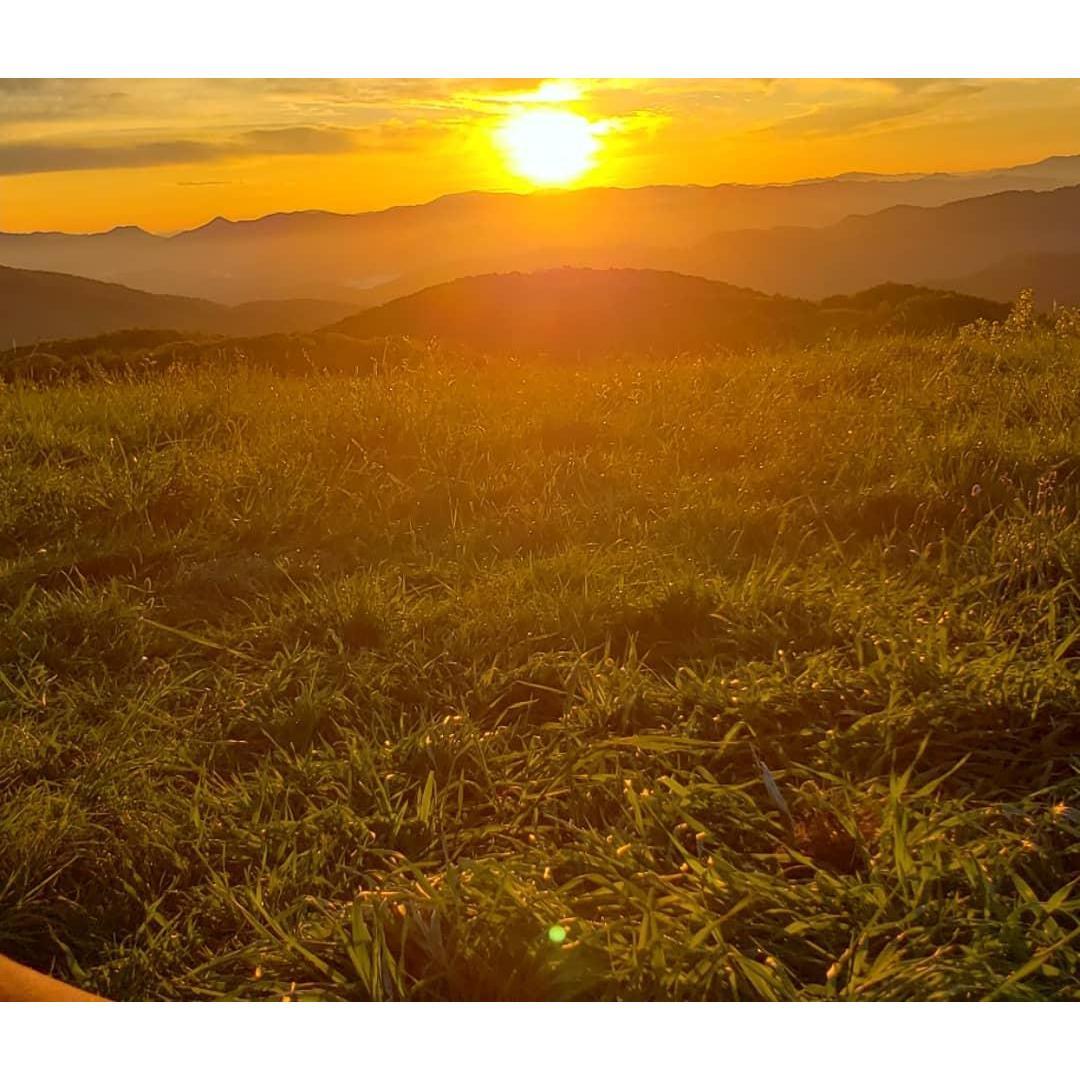 Waking up in Max Patch, NC during our first camping trek together!