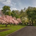 Pioneer Park