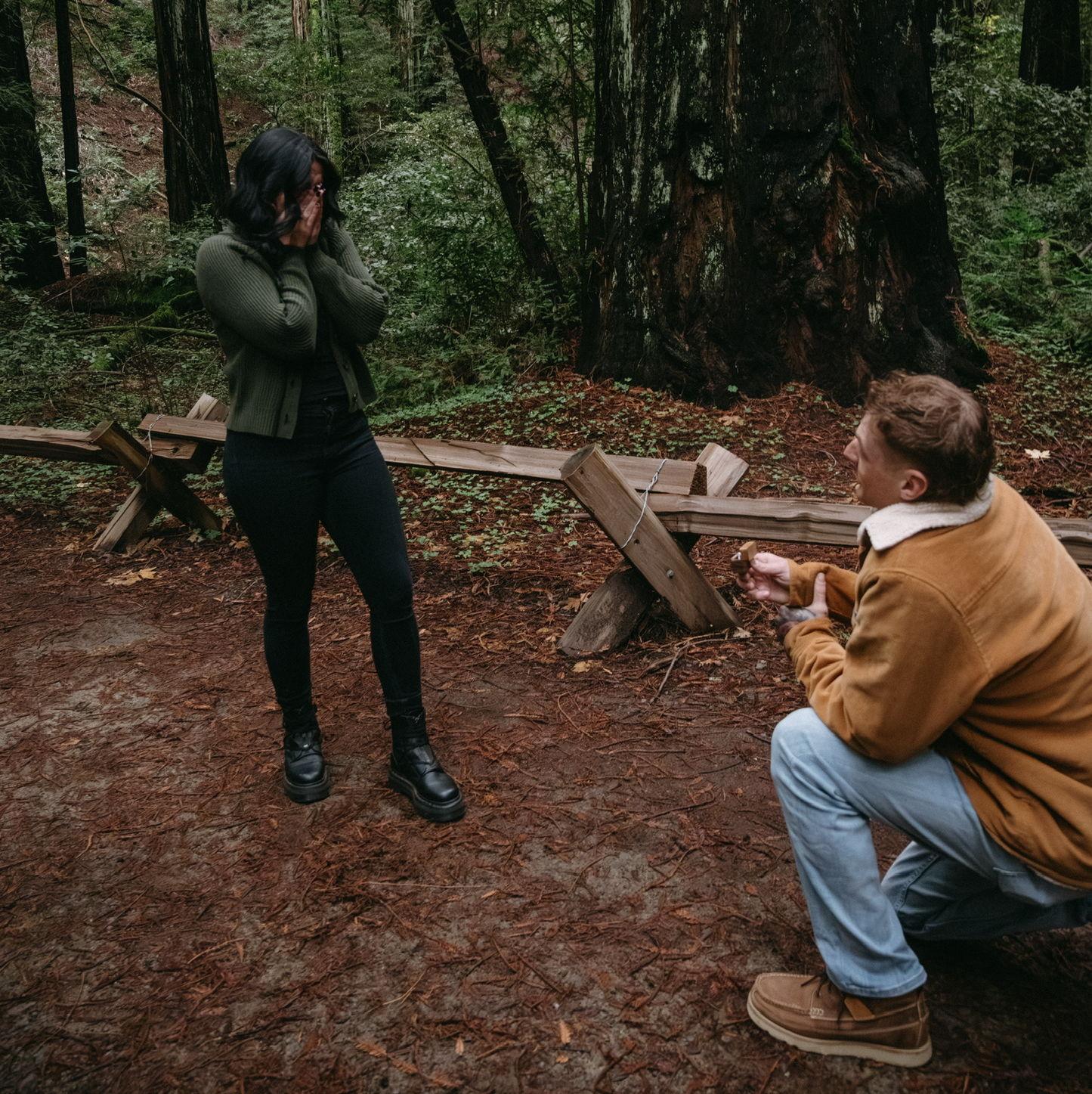 The proposal