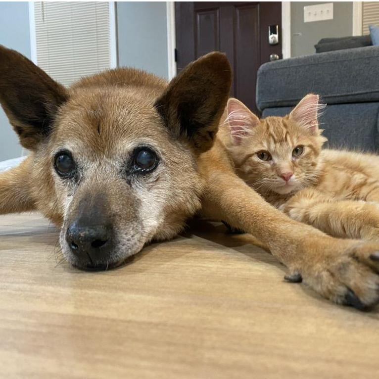 Brothers