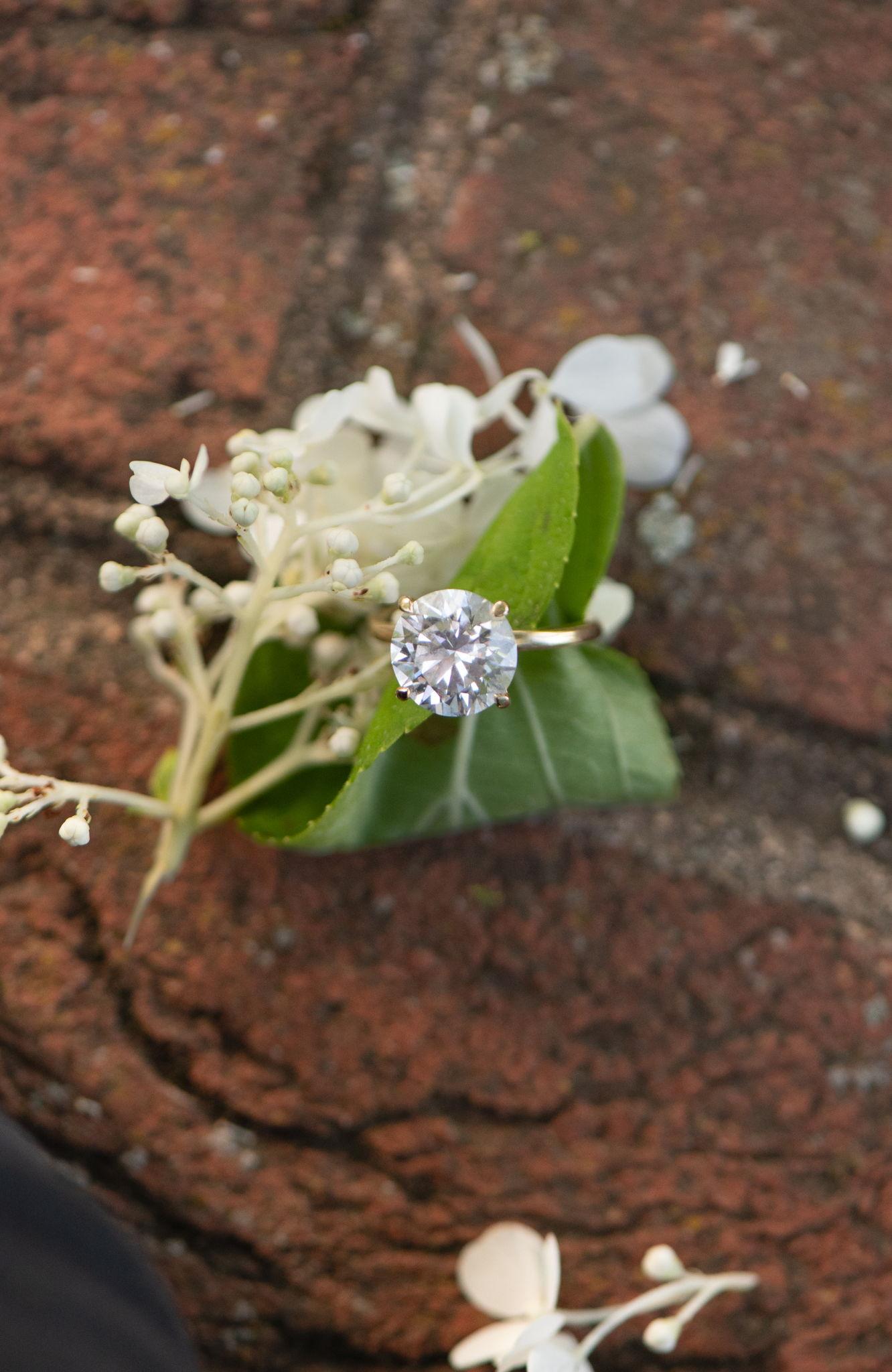 The Wedding Website of Anna Sharpe and James Sharpe