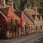 Cotswolds