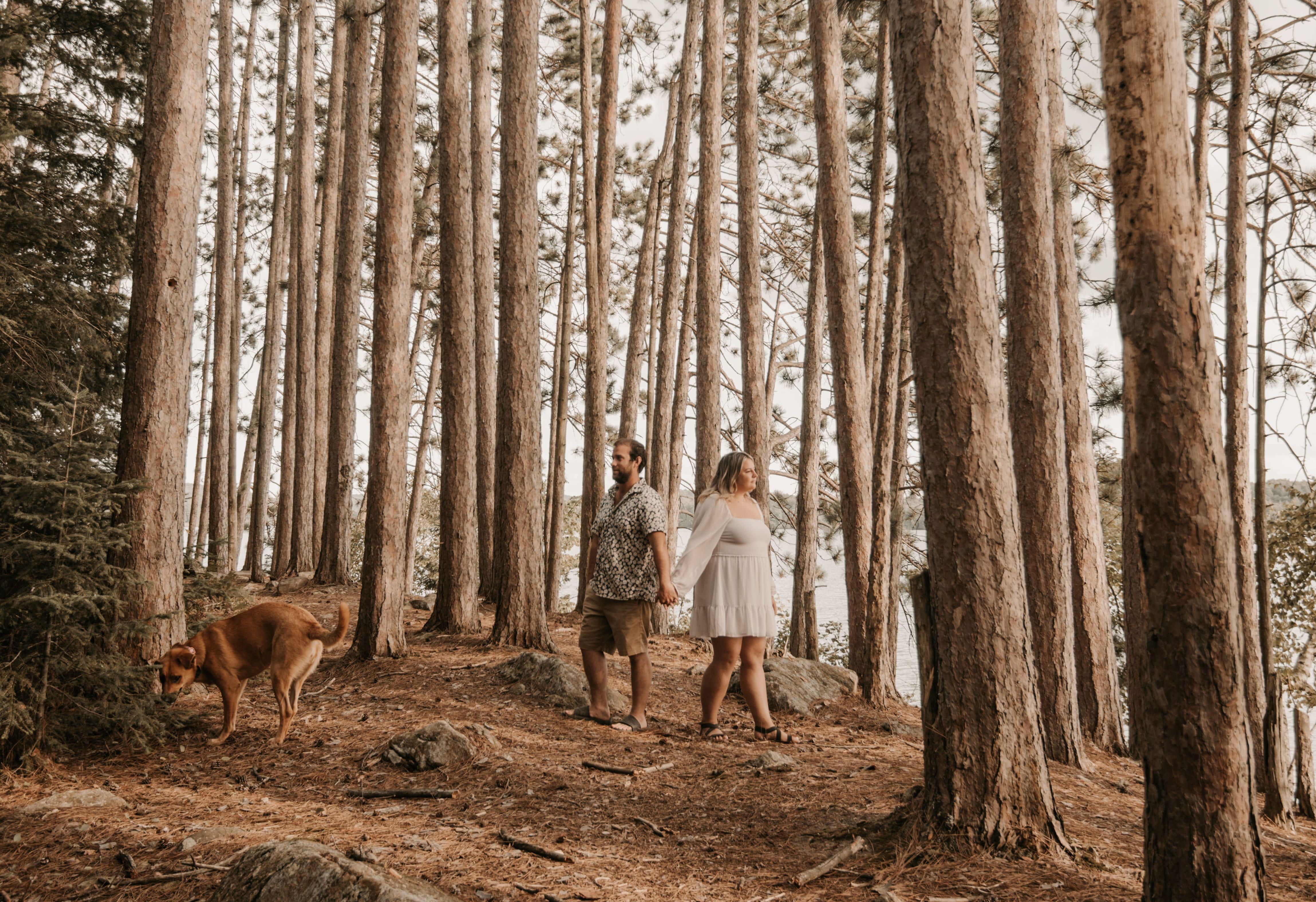 The Wedding Website of Natasha Murareanu and Timothy Watson