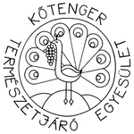 Kőtenger