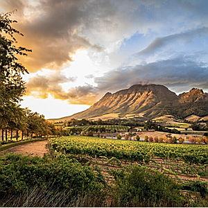 Dinner for Two in the Cape Winelands